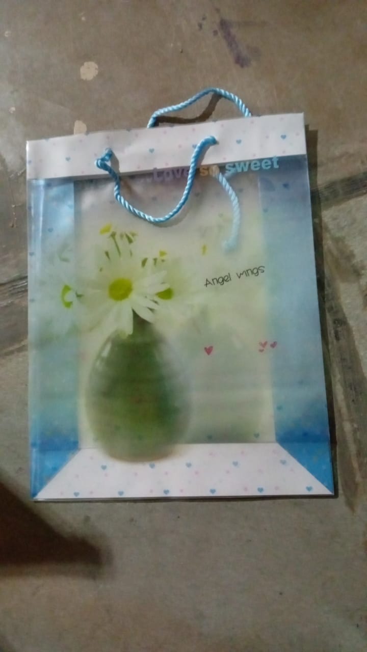 Plastic Transparent Bag With Handle (1 Pc / 34 x 26 Cm) - Springkart