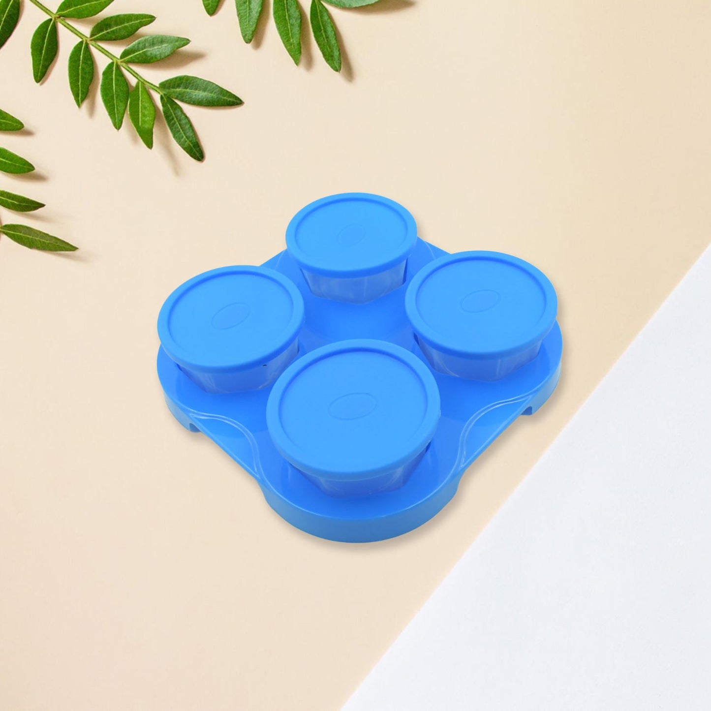 Airtight Container Jar 4 Pc Set With Stylish Tray for Kitchen Unbreakable Jar Set for Multipurpose Storage ( Mukhwas Dani ) - Springkart