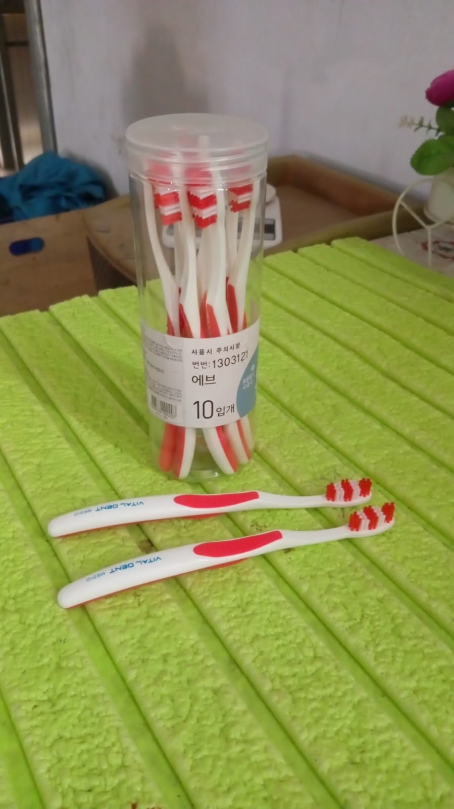Soft Toothbrush With Plastic Round Box for Men and Women, Kids, Adults Plastic Toothbrush (10 pcs Set) - Springkart
