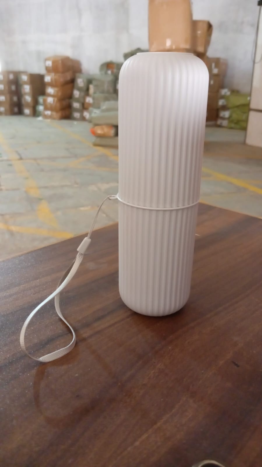 Travel Toothbrush Case & Holder w/ Rope & Brush (Portable, Capsule Shape) - Springkart