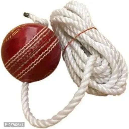 Cricket Hanging Ball Cricket Training Ball - Springkart