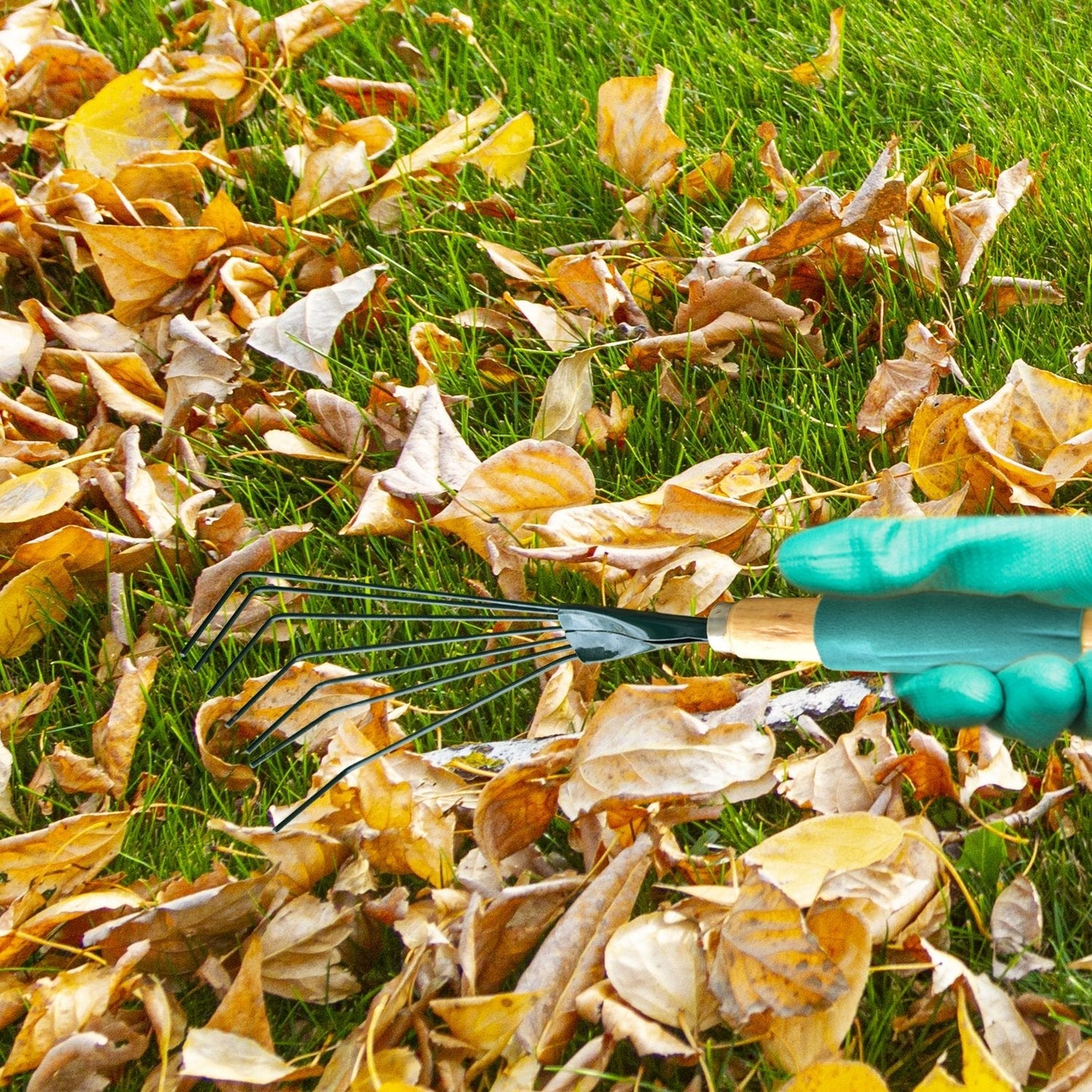 Stainless Steel Tooth Garden Leaf Rake - Springkart