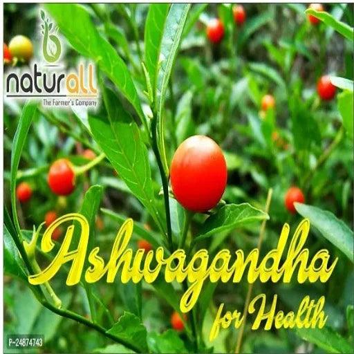 Healthy Nutrition Powder - 200gm, Pack Of 6 - Springkart