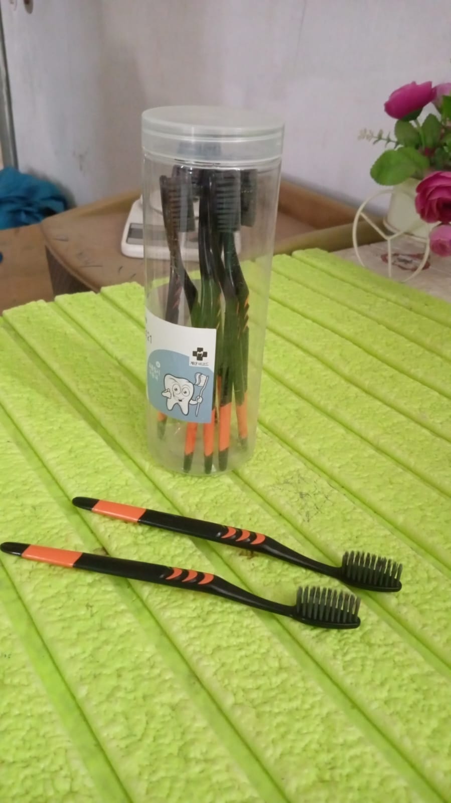 Plastic Toothbrush With Plastic Round Box for Men and Women, Kids, Adults Plastic Toothbrush (10 pcs Set) - Springkart