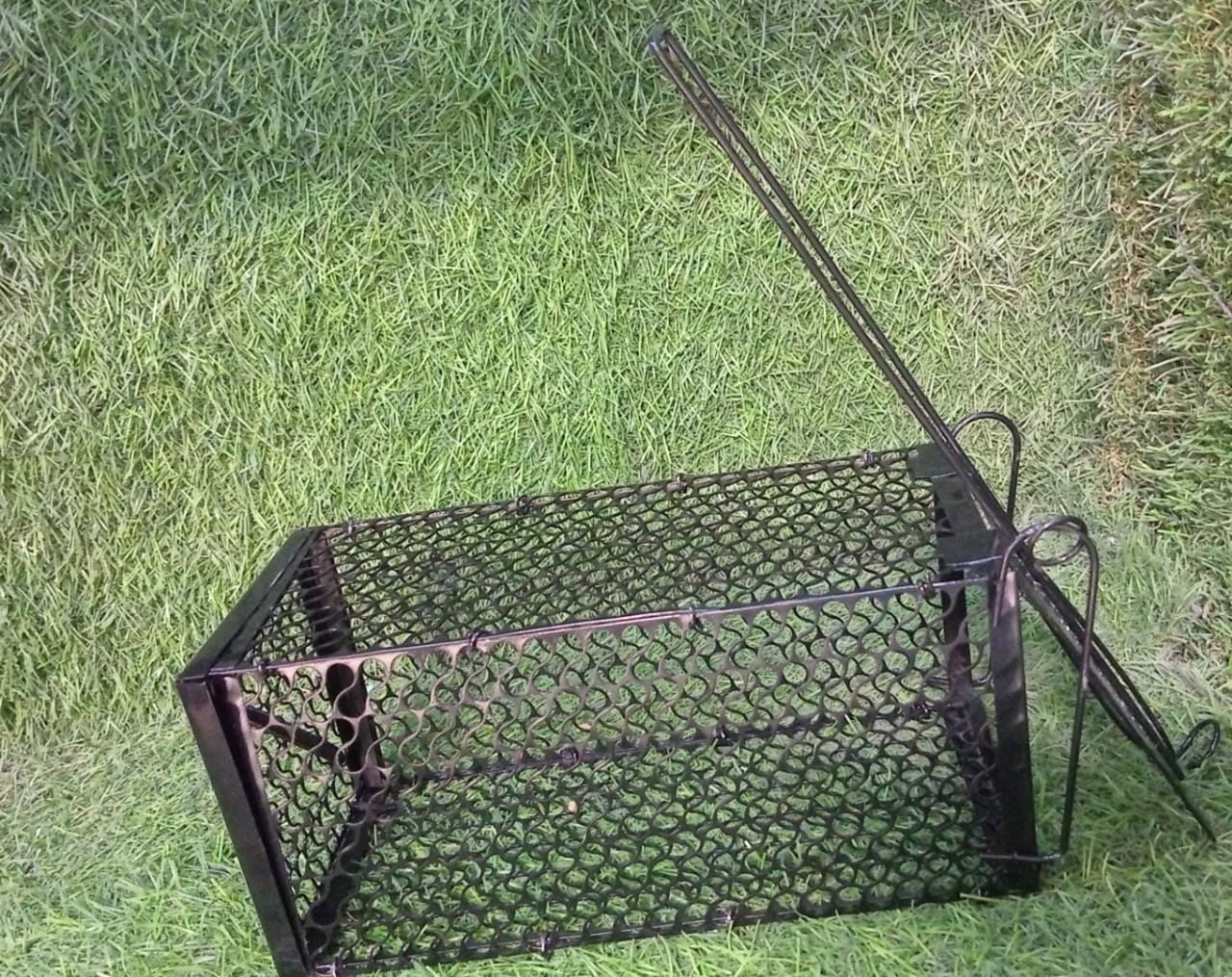 Foldable Mouse Trap Squirrel Trap Small Live Animal Trap Mouse Voles Hamsters Live Cage Rat Mouse Cage Trap for Mice Easy to Catch and Release - Springkart
