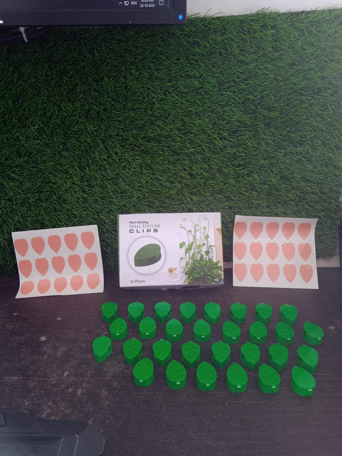 Plant Climbing Wall Fixture Clip Self-Adhesive Hook Vines Traction Invisible Stand Green Plant Clip Garden Wall Clip Plant Support Binding Clip Plants for Indoor Outdoor Decoration (30 Pcs Set) - Springkart