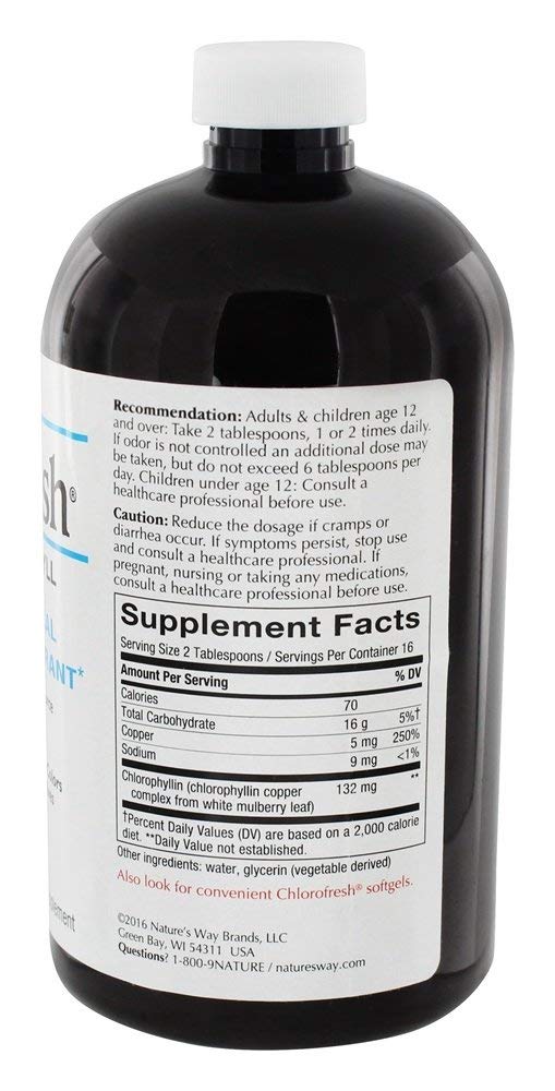 Nature's Way Chlorofresh Chlorophyll Natural Liquid (16 fl oz)