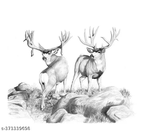 Assorted Gray-Black Sketching Pencils of 12 Shades for Artists, Students, Beginners