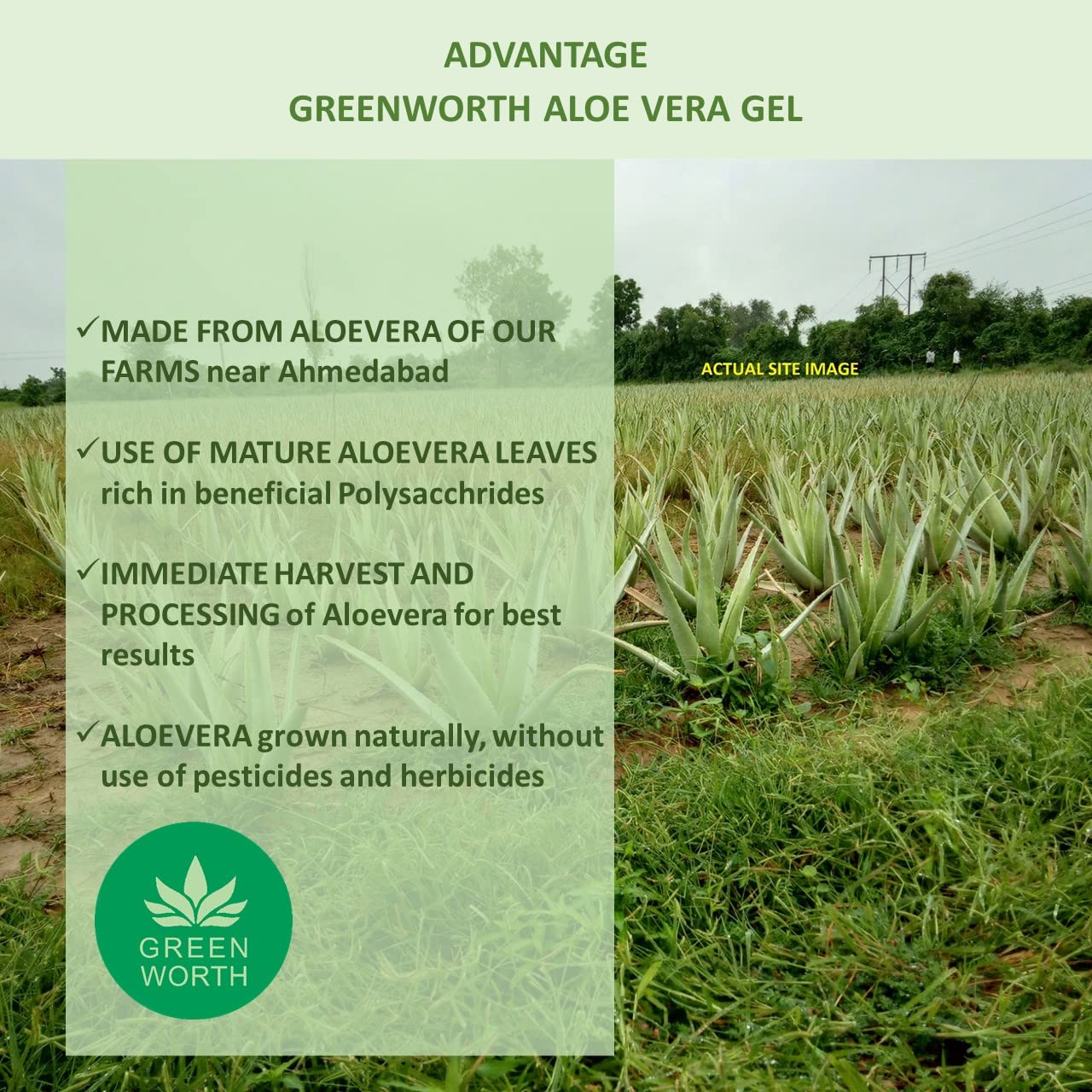GREEN WORTH Pure Aloe Vera Gel 400 Gm (Pack Of 2 X 200 Gm) - Springkart