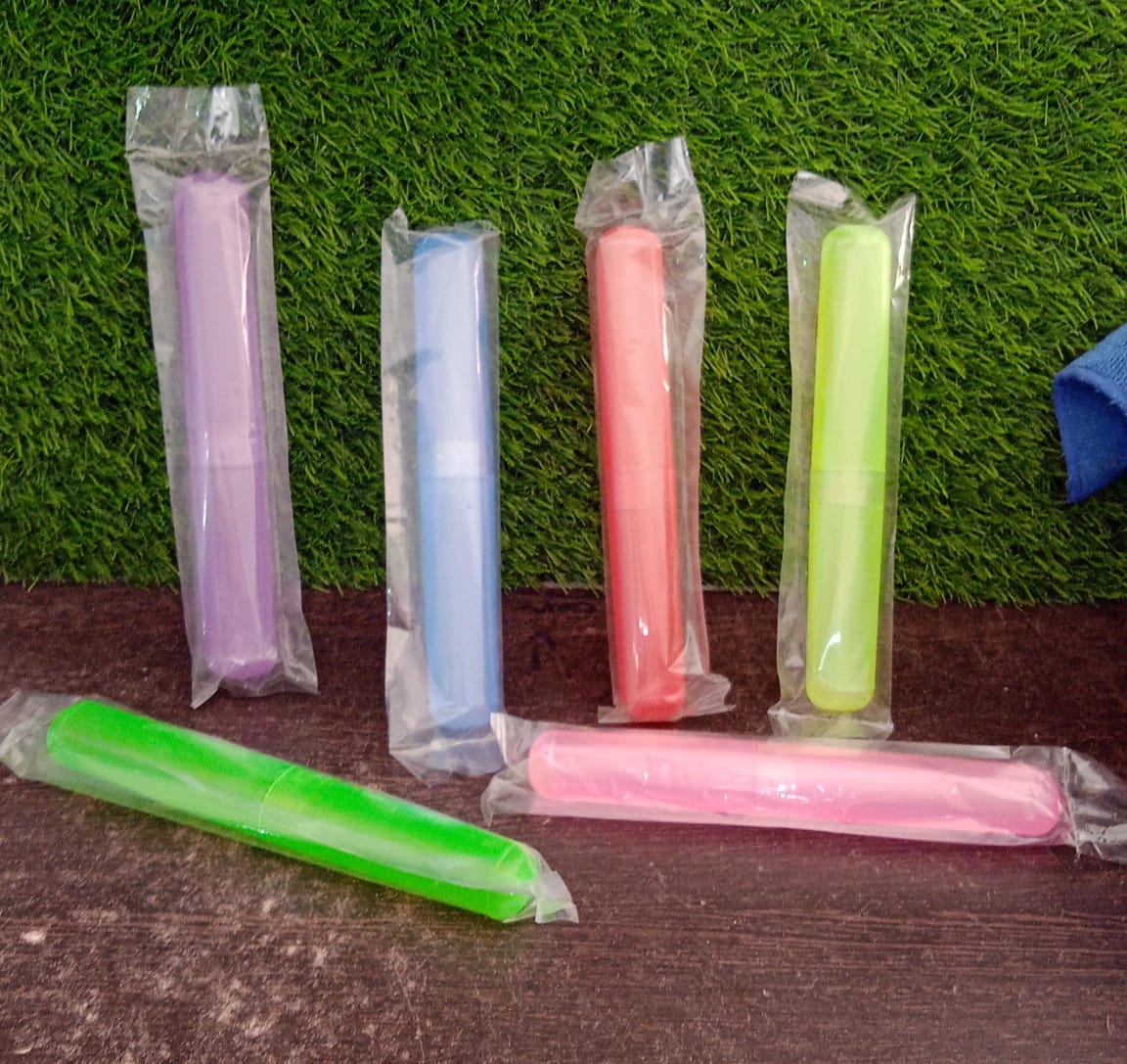 Plastic Hygienic Toothbrush Travel Portable Case - Springkart