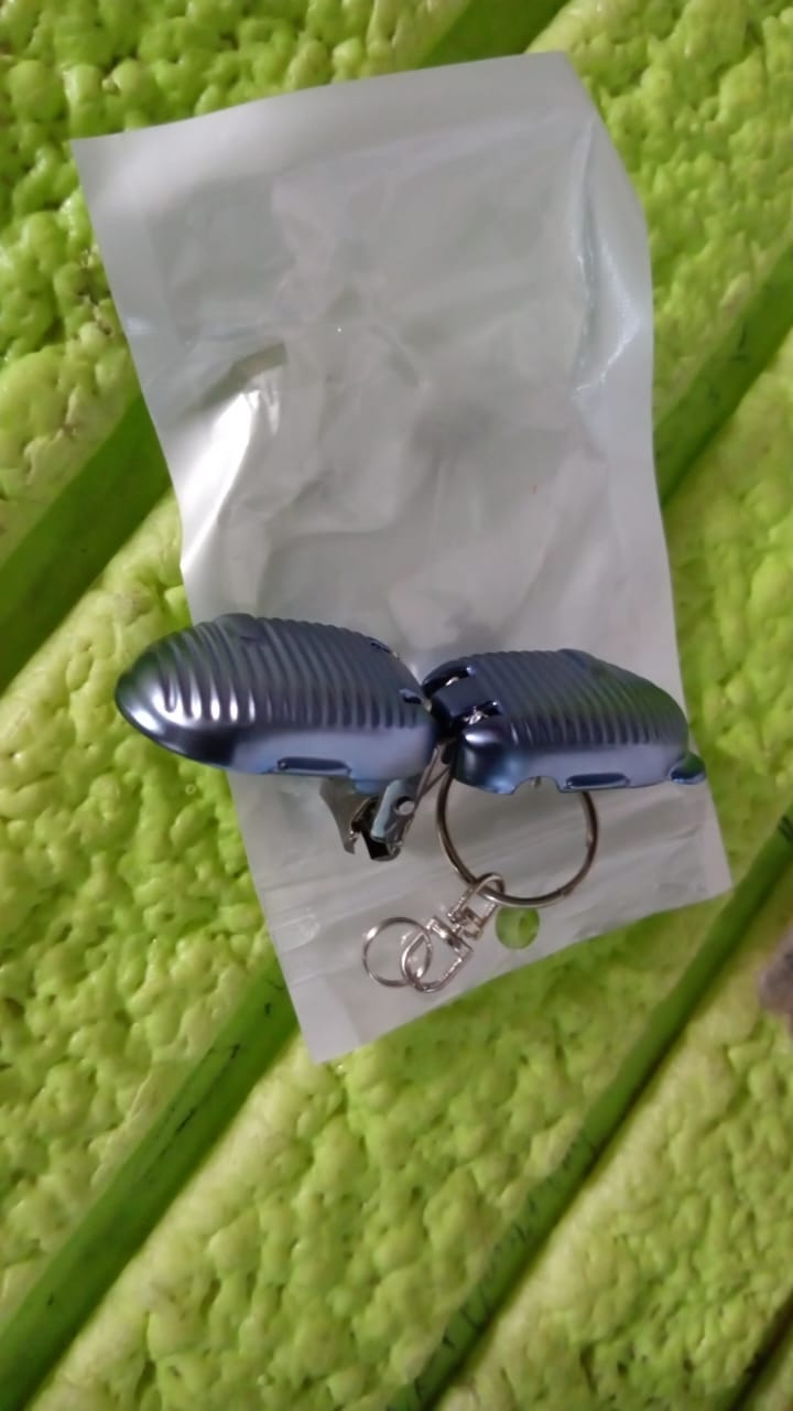 Keychain Nail Clipper | Small Nail Clippers Multicolor (1 Pc) - Springkart