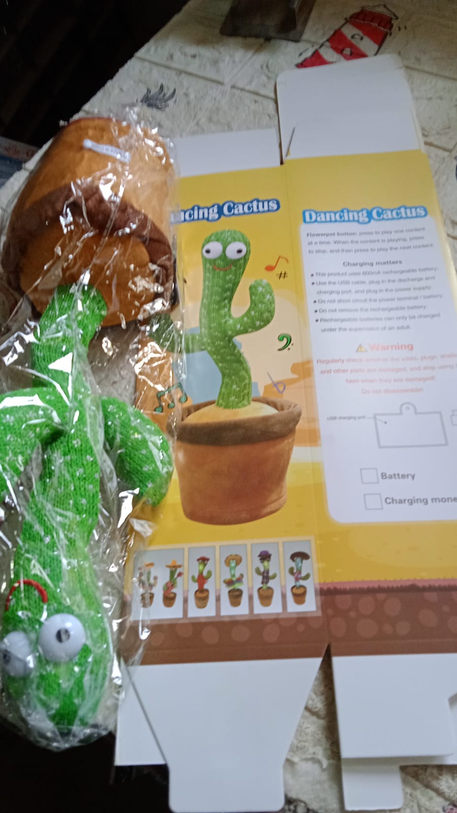Dancing Cactus Toy - Springkart