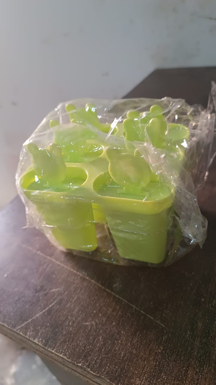 Plastic 6 Grid Compartment Popsicle Ice Cream Mold (1 Pc) - Springkart
