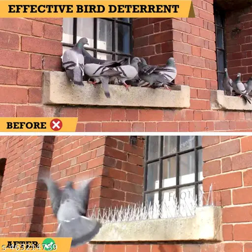 Birds Spikes Pigeon Spikes for balcony (10 Pcs) - Springkart
