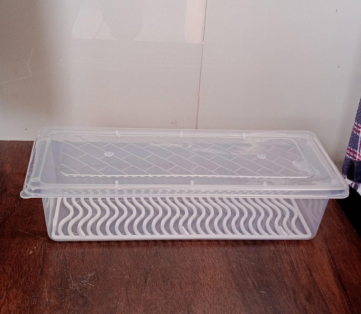 Food Storage Container with Removable Drain Plate and Lid, 1500 ml (Pack of 1 Pc) - Springkart