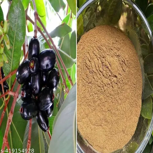 Jamun Seed Powder for Diabetes - Springkart
