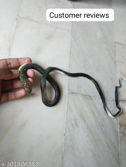 rubber snakes prank toy (Multi colors, 28-inch) (pack of 2) - Springkart