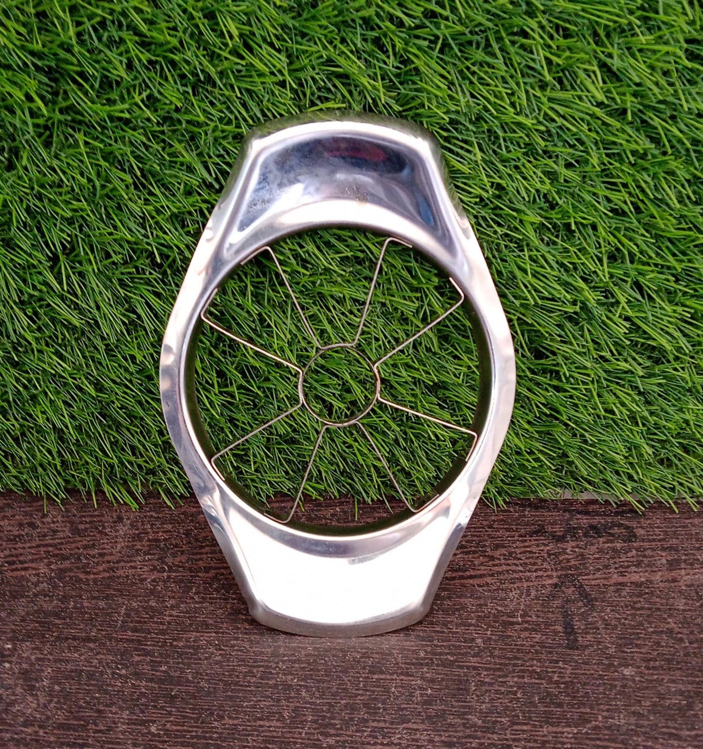 Stainless Steel Apple Cutter / Slicer with 8 Blades and Handle - Springkart