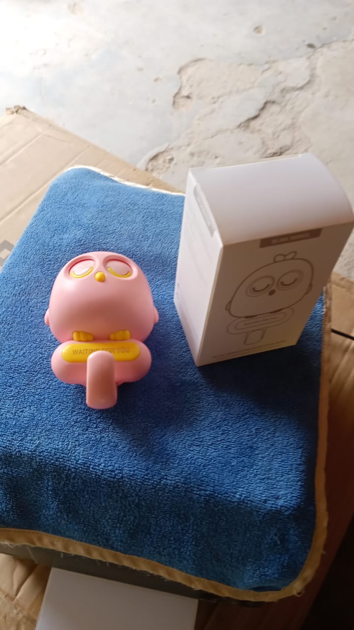 Self Adhesive Wall Hooks Eye Catching Cute Bird Hook, Automatic Open Close Eyes Creative wall Hook (1 Pc) - Springkart