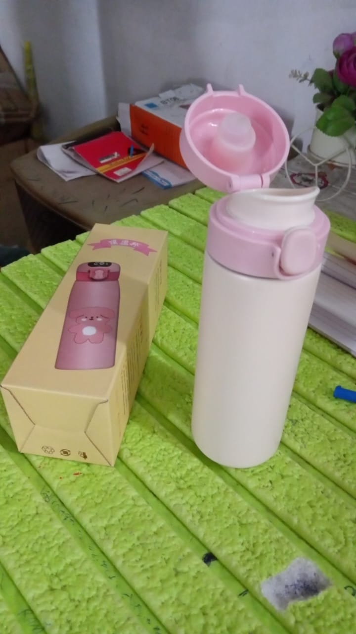 Stainless Steel Water Bottle (450 ML Approx) - Springkart
