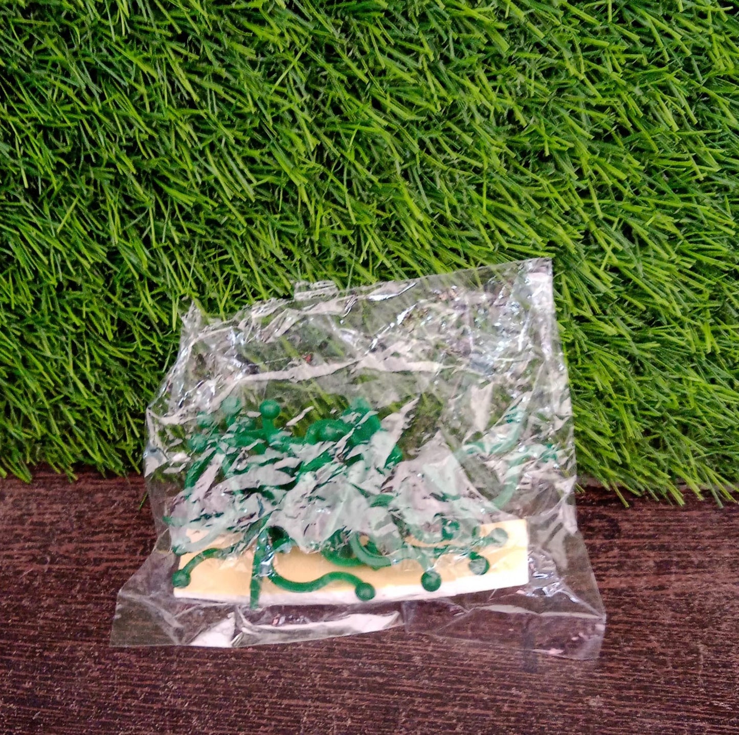 Plant Climbing Wall Clips Self-Adhesive Money Plant Support Clips Vine Plant Climbing Fixing Clip (10 Pcs Set) - Springkart