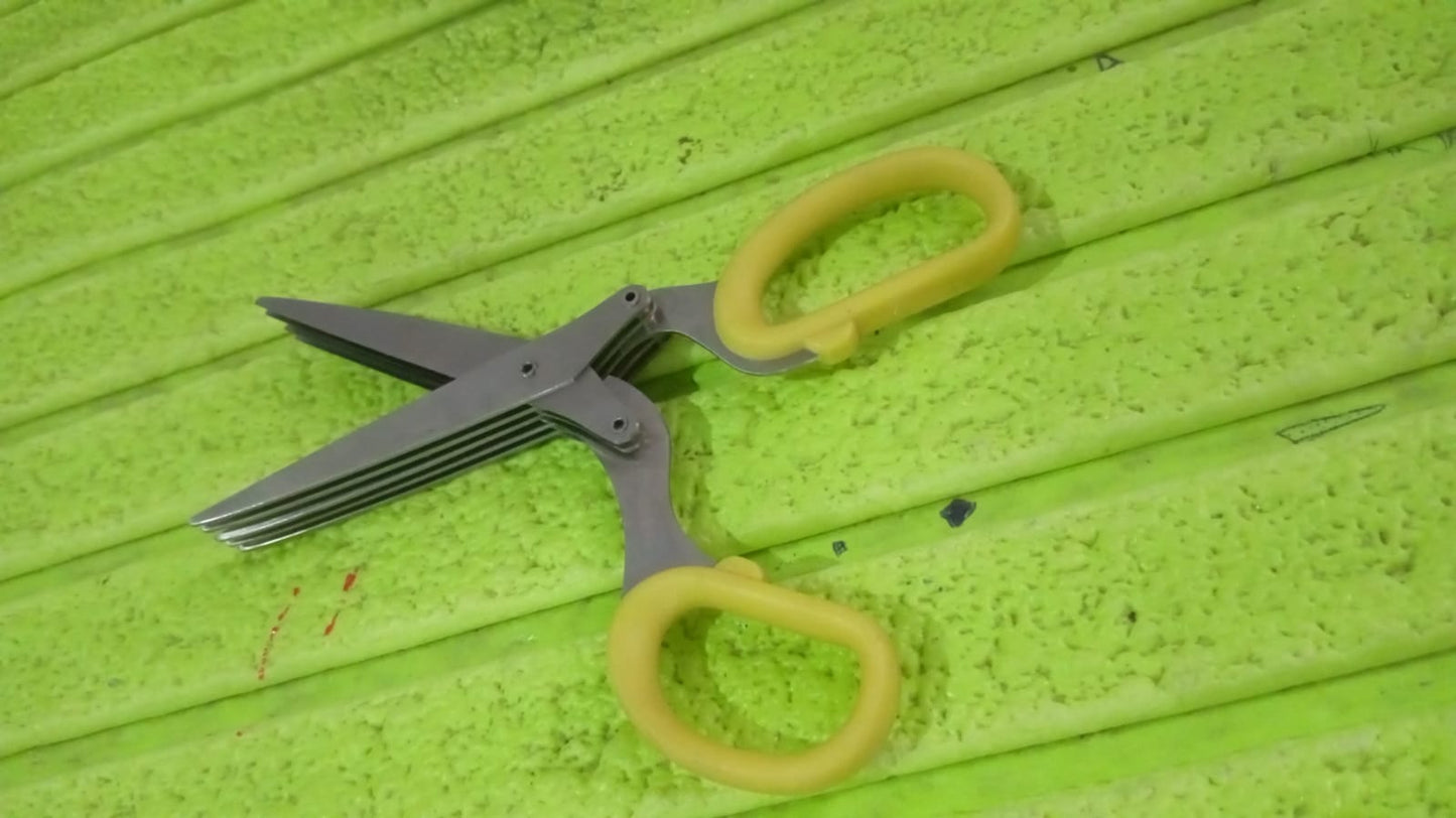 Multifunction Vegetable Stainless Steel Herbs Scissor with 5 Blades (1 Pc) - Springkart