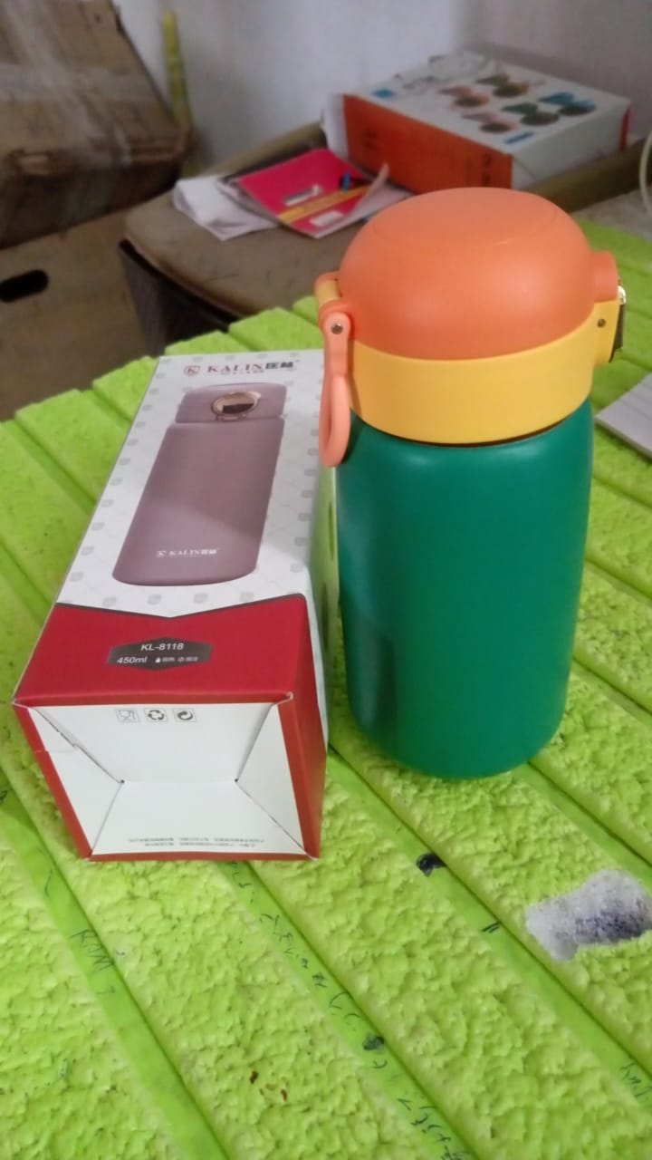 Stainless Steel Water Bottle (450 ML) - Springkart