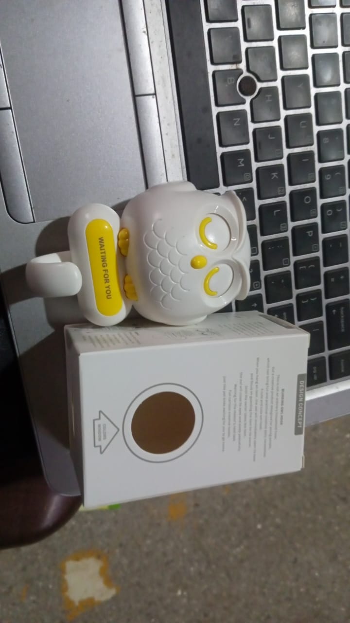 Self Adhesive Wall Hooks Cute Bird Hook (1 Pc) - Springkart