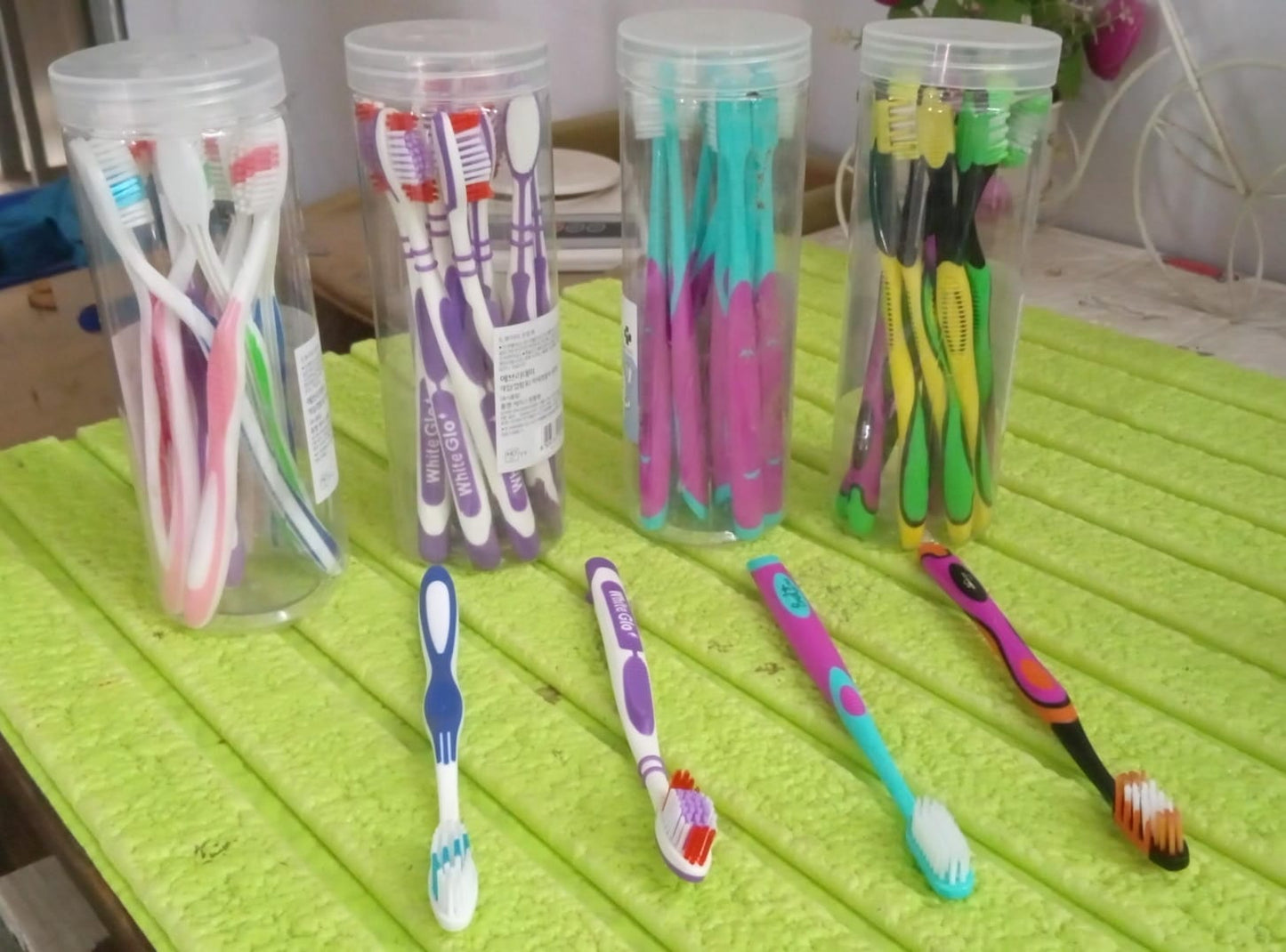 Soft Toothbrush With Plastic Round Box (10 pcs Set / Mix Color) - Springkart
