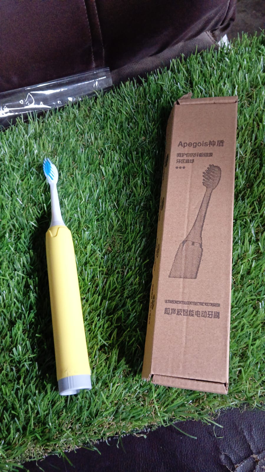 Adult Waterproof Electric Toothbrush 1 Head Battery Operated Toothbrush (1 Pc / Battery Not Included / Mix Color) - Springkart