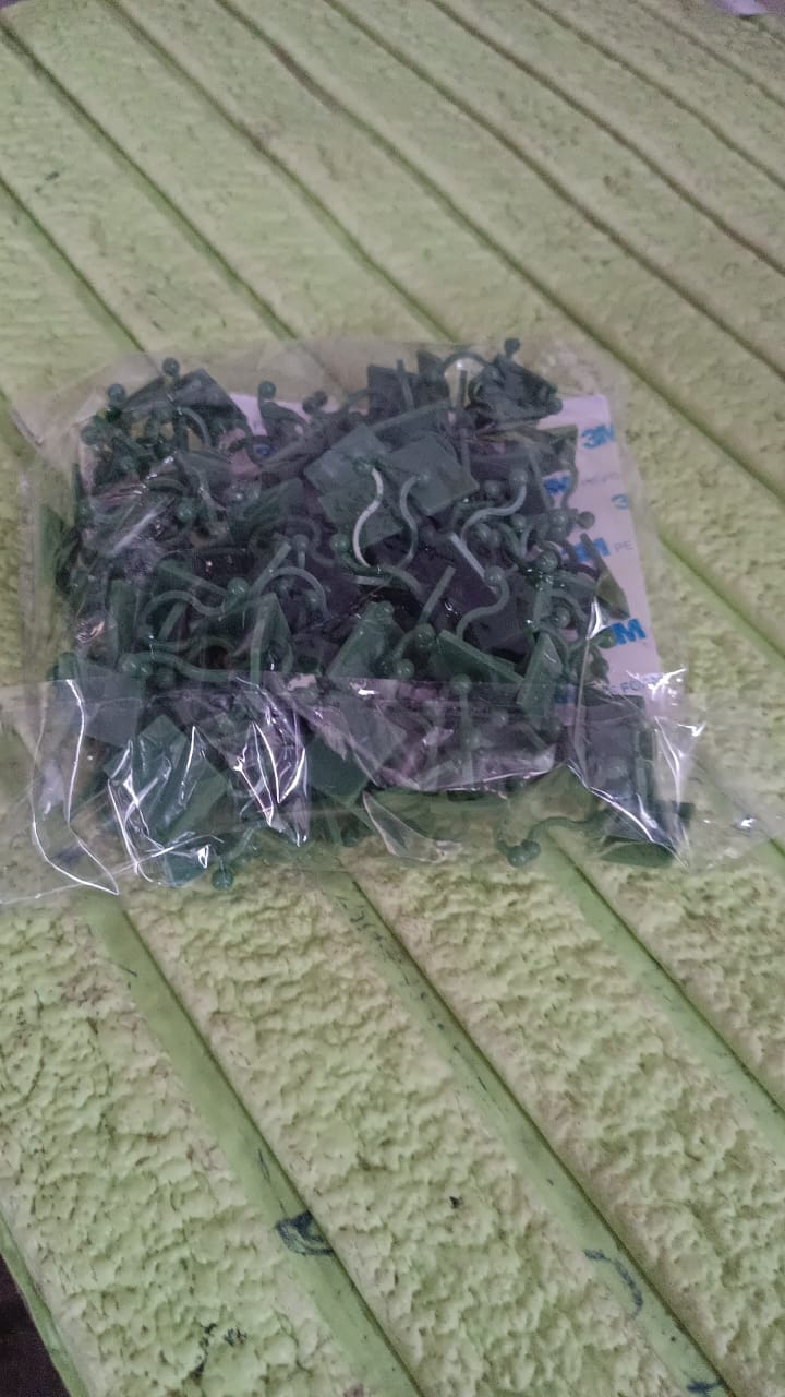 Plant Climbing Wall Fixture Clip Self-Adhesive Hook (100 Pcs Set) - Springkart