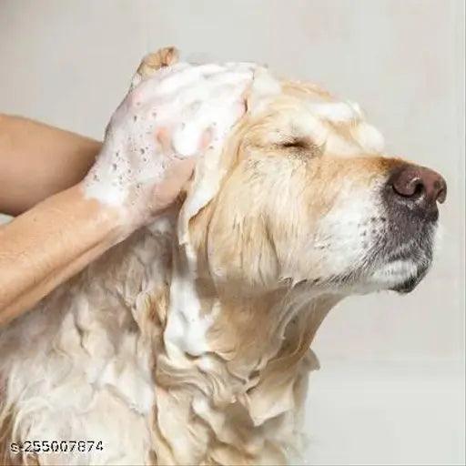 Hachiko Best quality ( Pack of 2 ) Dog Shampoo 5 IN 1 (Total 500 ml) Allergy Relief, Anti-dandruff, Anti-fungal, Conditioning - Springkart