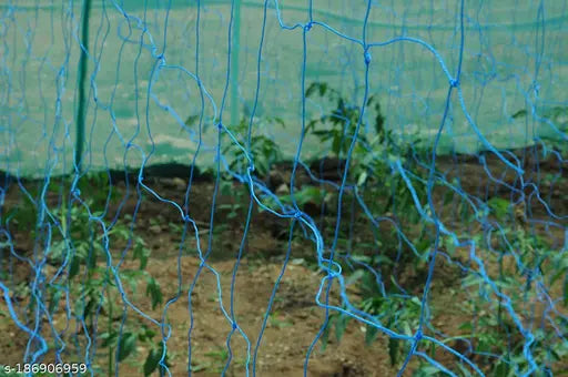 Vegetable Creeper Net/Passion Fruit Net/Plant Support Net - 3 Meter x 2 Meter - Springkart