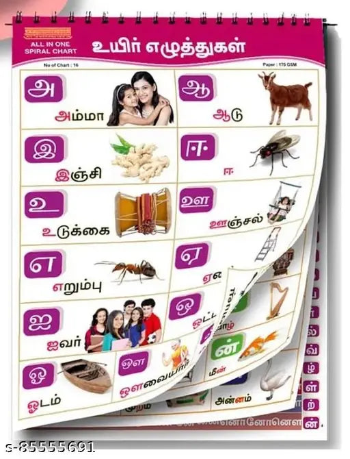 Tamil Educational Chart (16 Charts ) | 37 x 48 cm - Children Spiral Wall Picture Chart - Springkart
