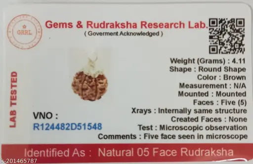 5 Mukhi Rudraksha Pendant Lab Certified Nepali Five Mukhi Original Certified, Color Brown - Springkart