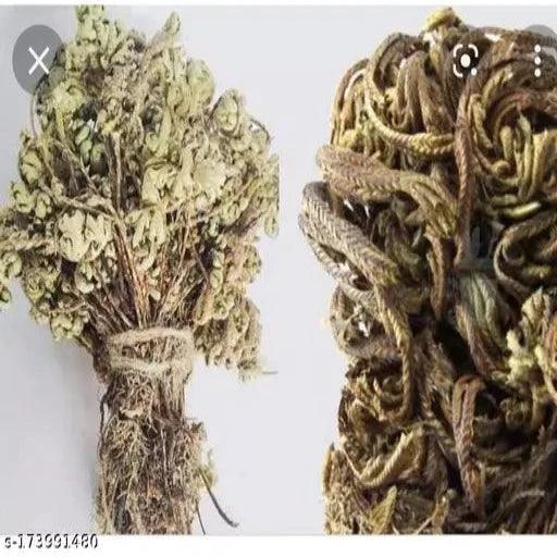 Divya Sanjeevani vati - Springkart