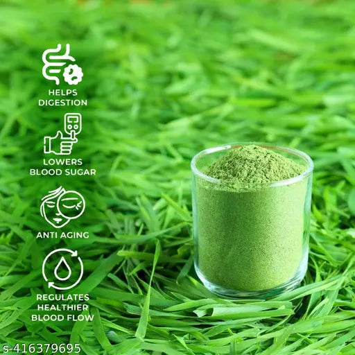 Wheatgrass Powder for Weight Loss,Immunity boosting,Superfood (pack of 2) - Springkart