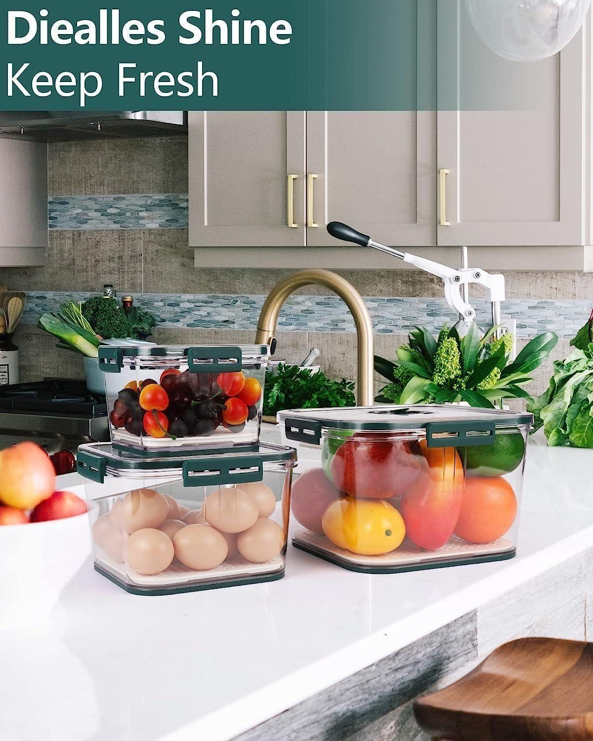 Freshness Preservation Food Storage Container(Pack of 3) - Springkart