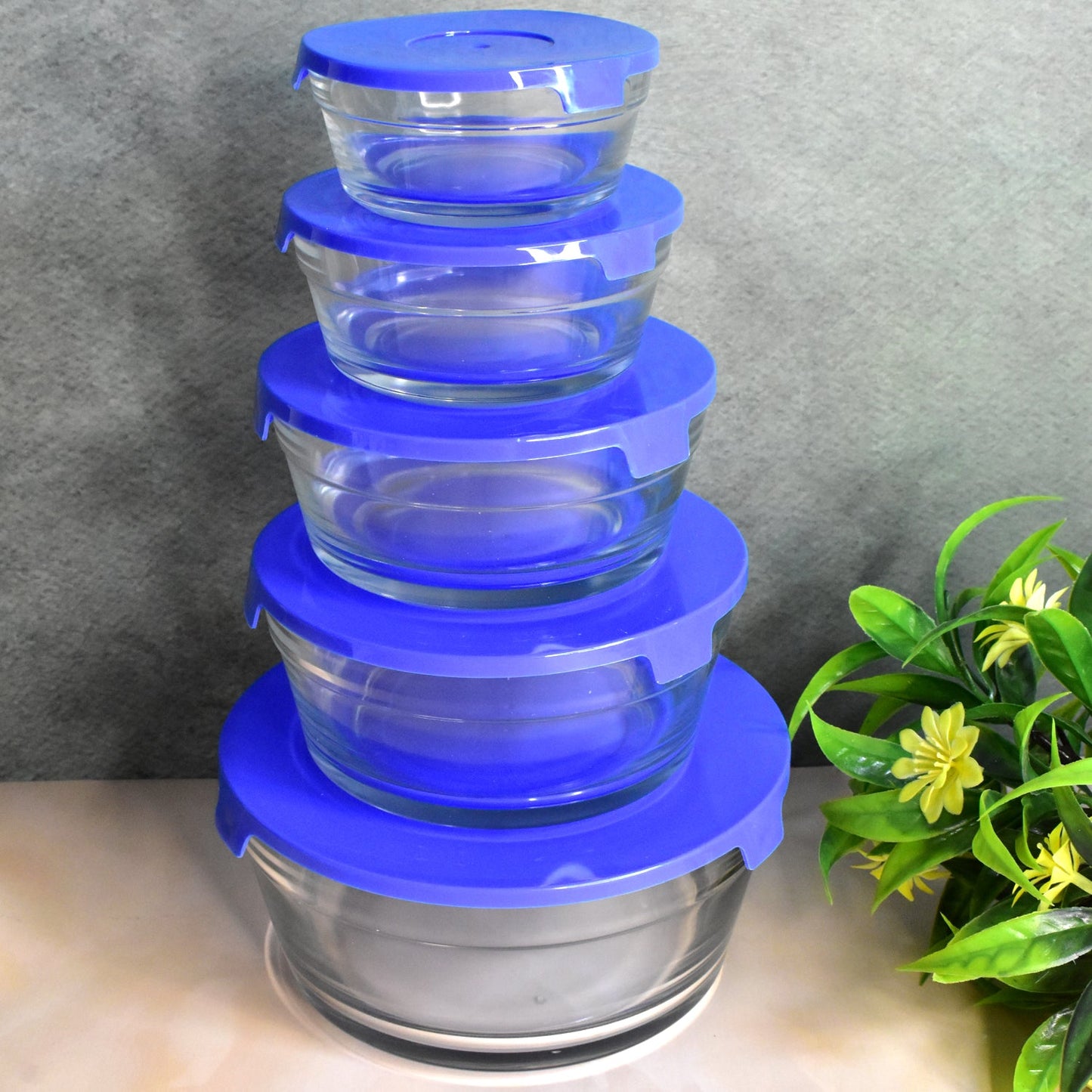 Modern Glass Bowl Set Mixing / Storage Bowls with Lids (5 Pcs Set) - Springkart 
