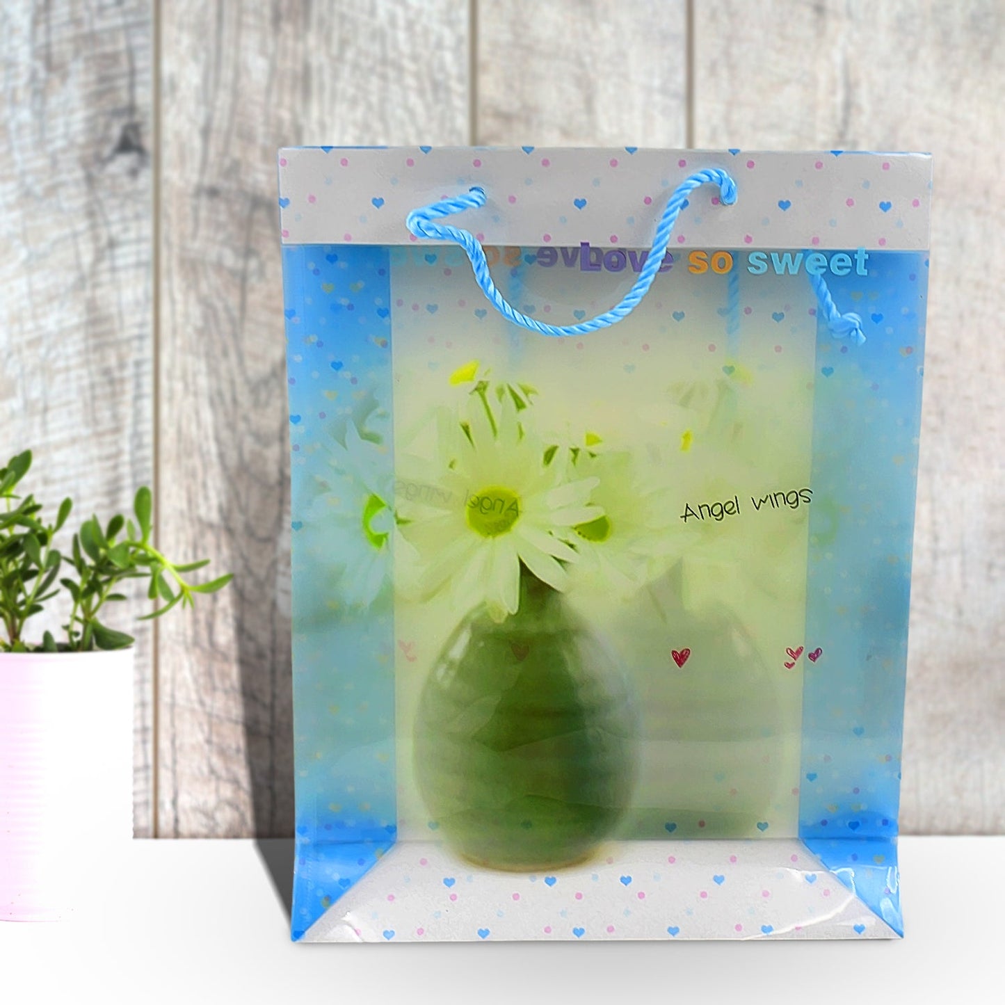 Plastic Transparent Bag With Handle