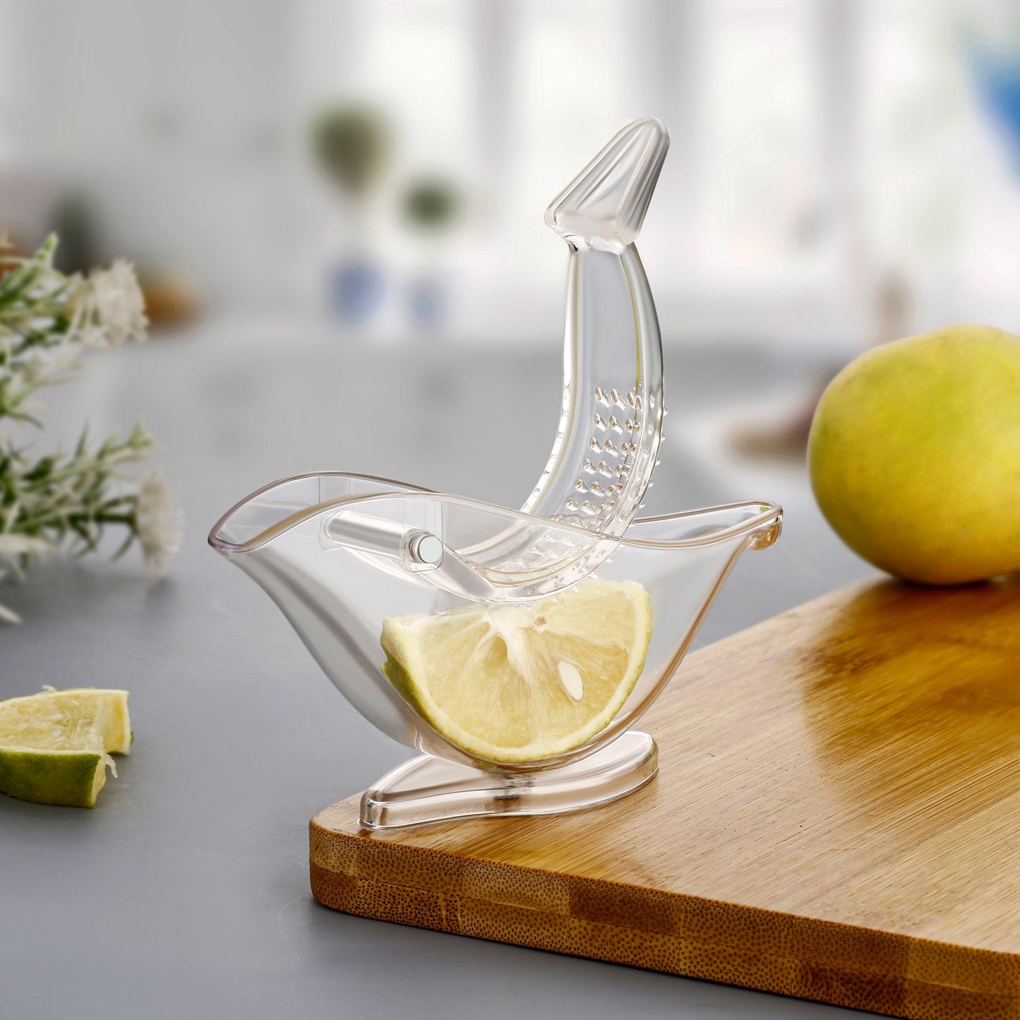 Manual Lemon Slice Squeezer - Portable Transparent Fruit Juicer, Bird-Shaped Hand Juicer for Orange, Lemon & Lime (Color Box) - Springkart 