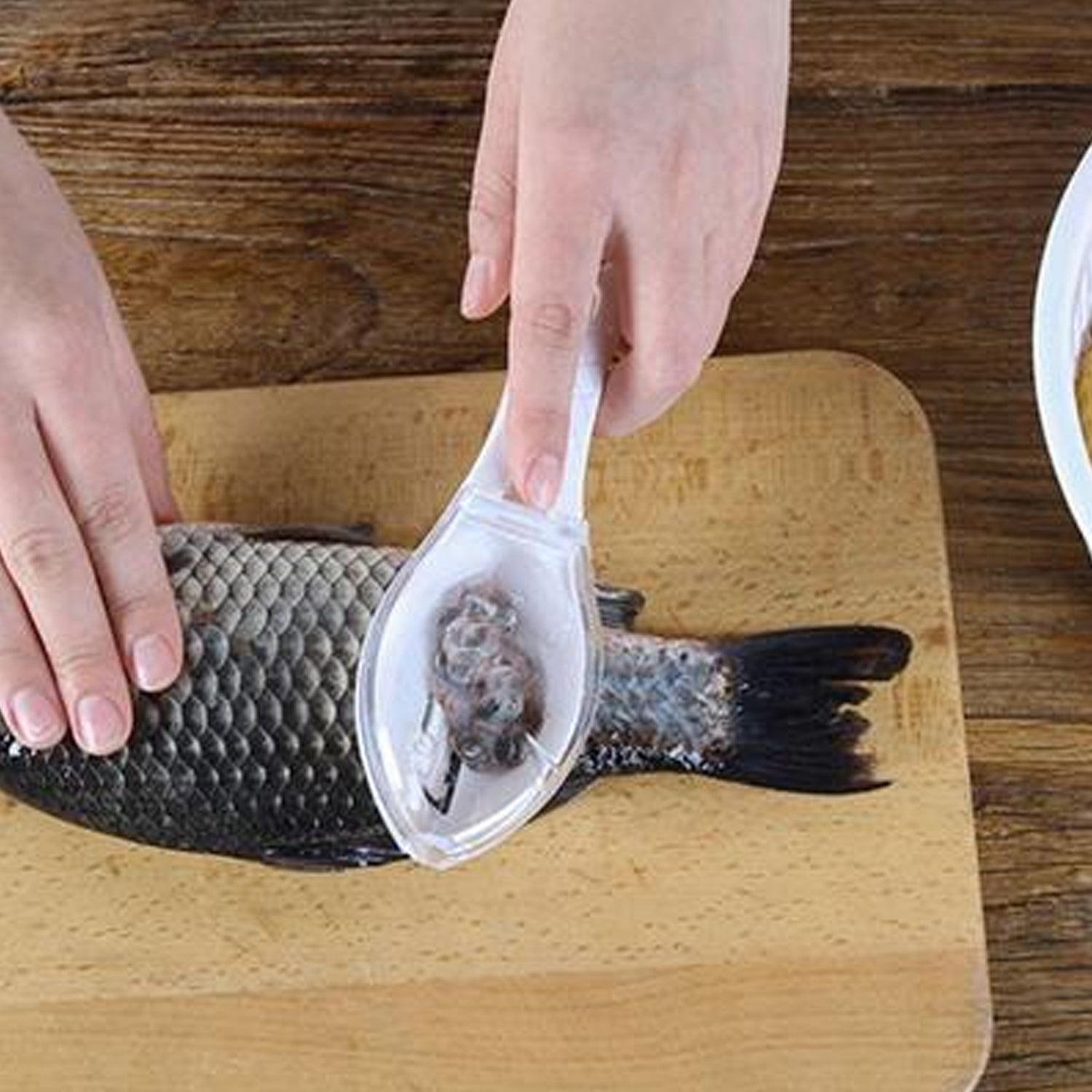 Fish Scale Scraper Peeler Fish Tools Kitchen - Springkart 