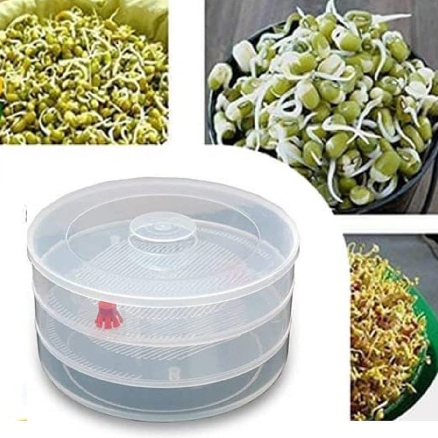 Miracle Plastic Healthy Hygienic Sprout Maker with 3 Compartments for Home, Kitchen (1 Pc) - Springkart 