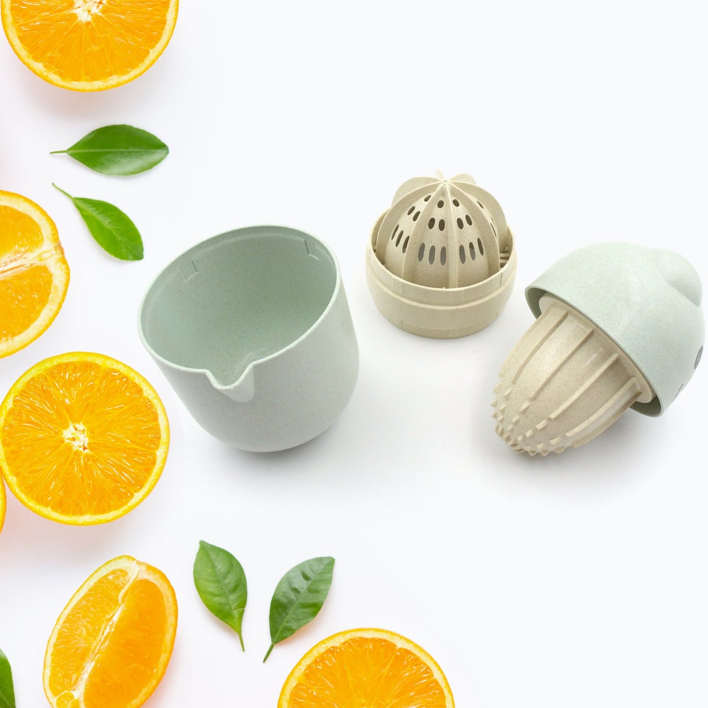 Manual Citrus Juicer (Portable & Food-Grade Plastic, 1 Pc - Springkart 