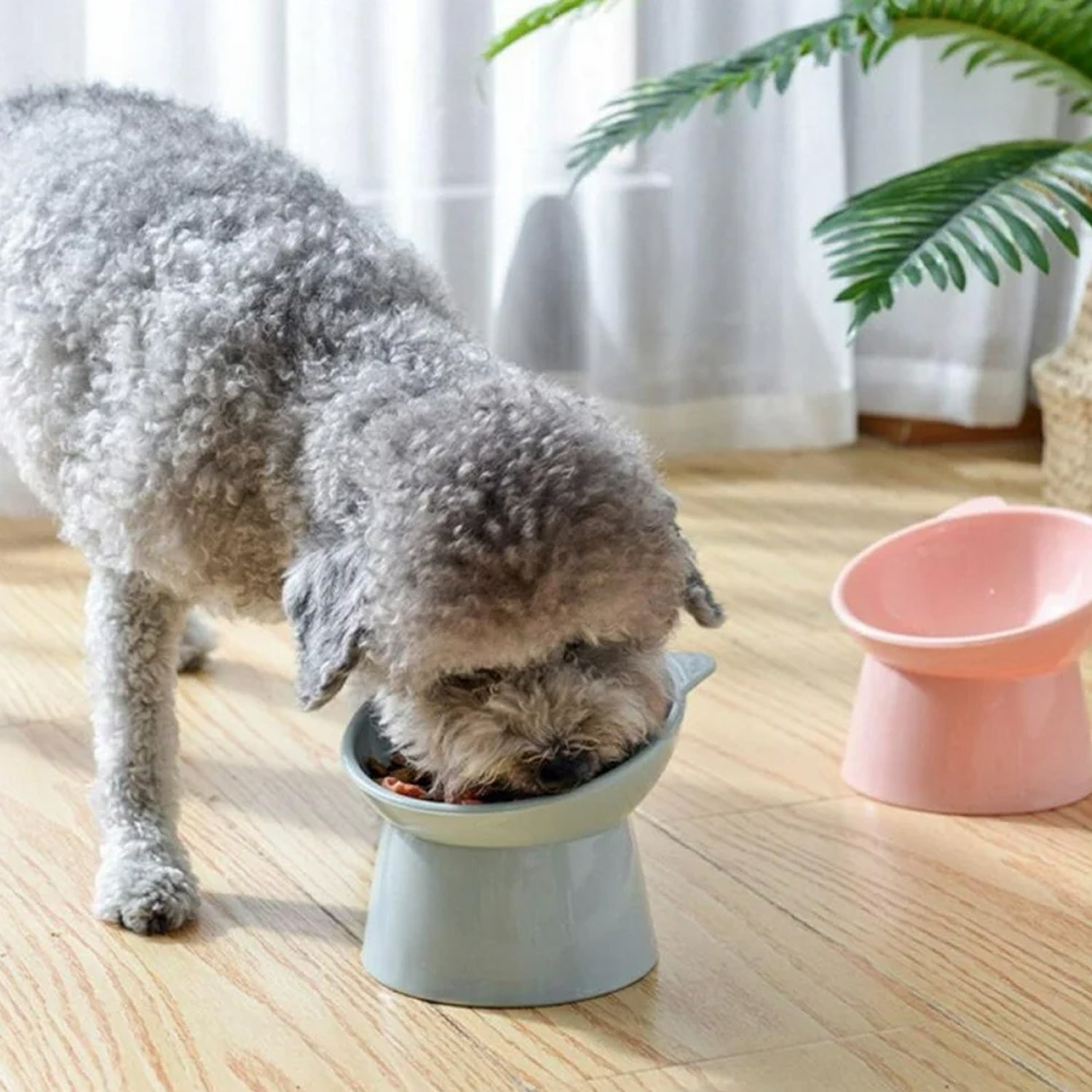 Plastic Multipurpose Bowl, Food Bowls (1 Pc) - Springkart 