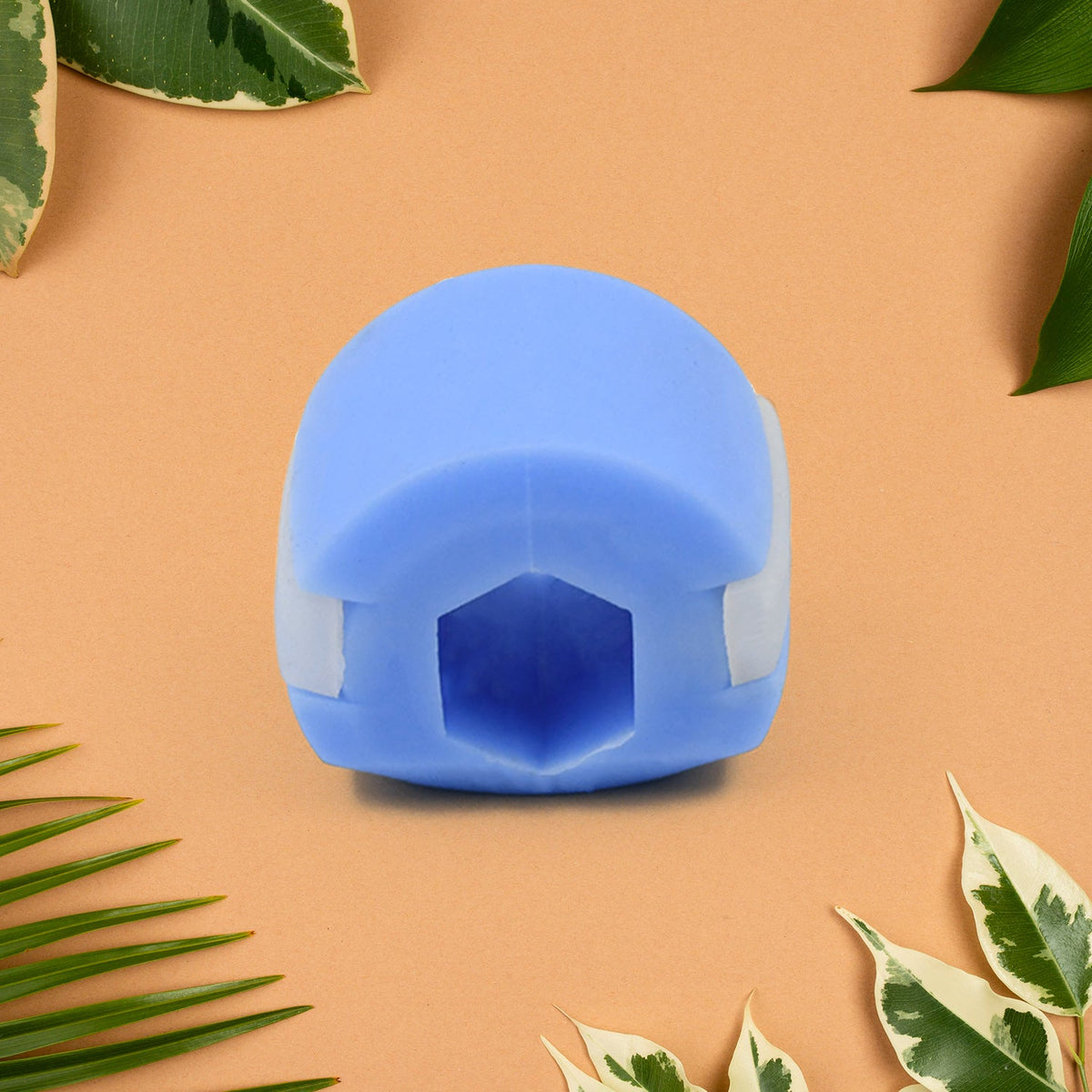 Cn Blue Mouth Exerciser Used To Gain Sharp And Chiselled Mouth Easily And Fast. - Springkart 