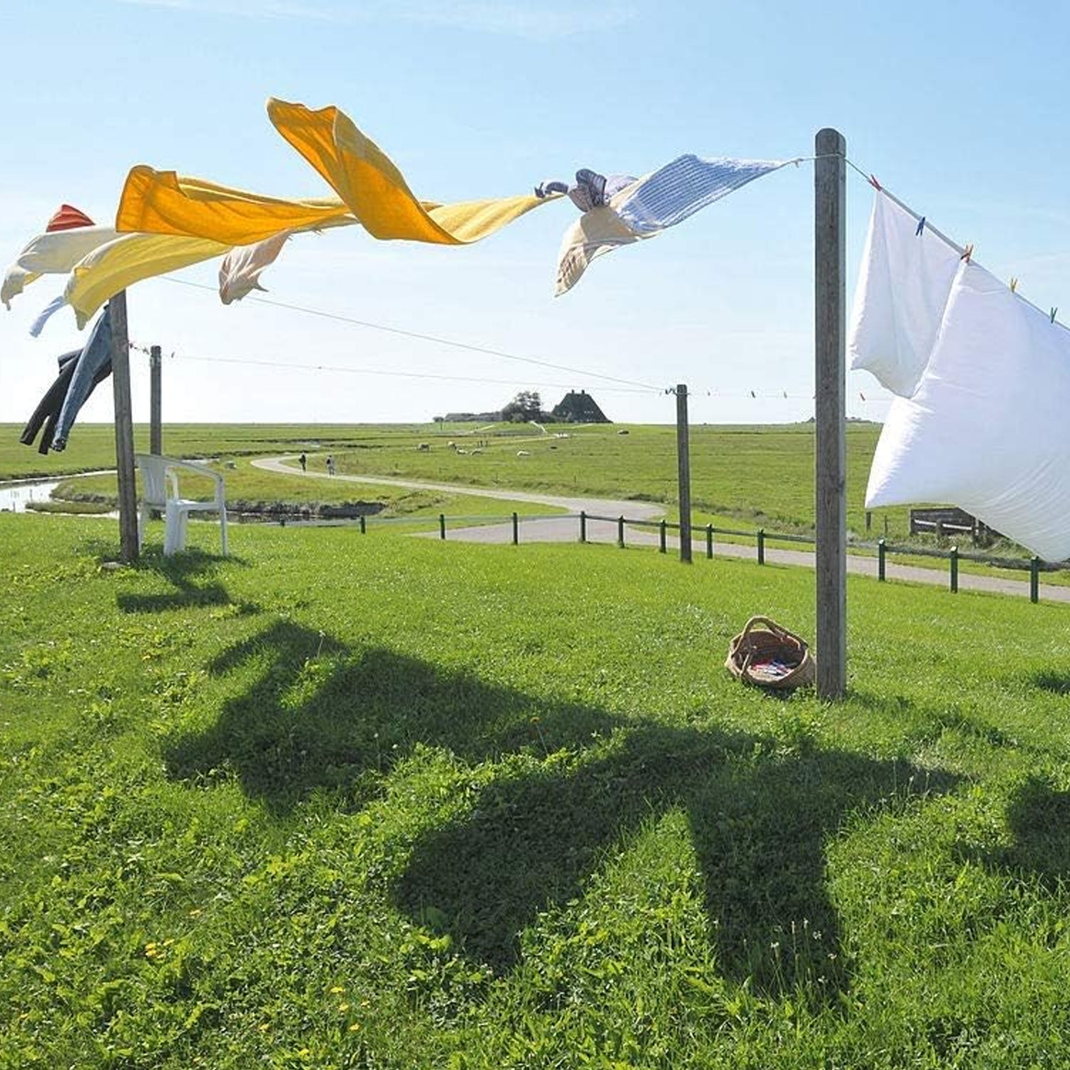 High-Quality Cloth Drying & Gardening Wire (10M) - Springkart 