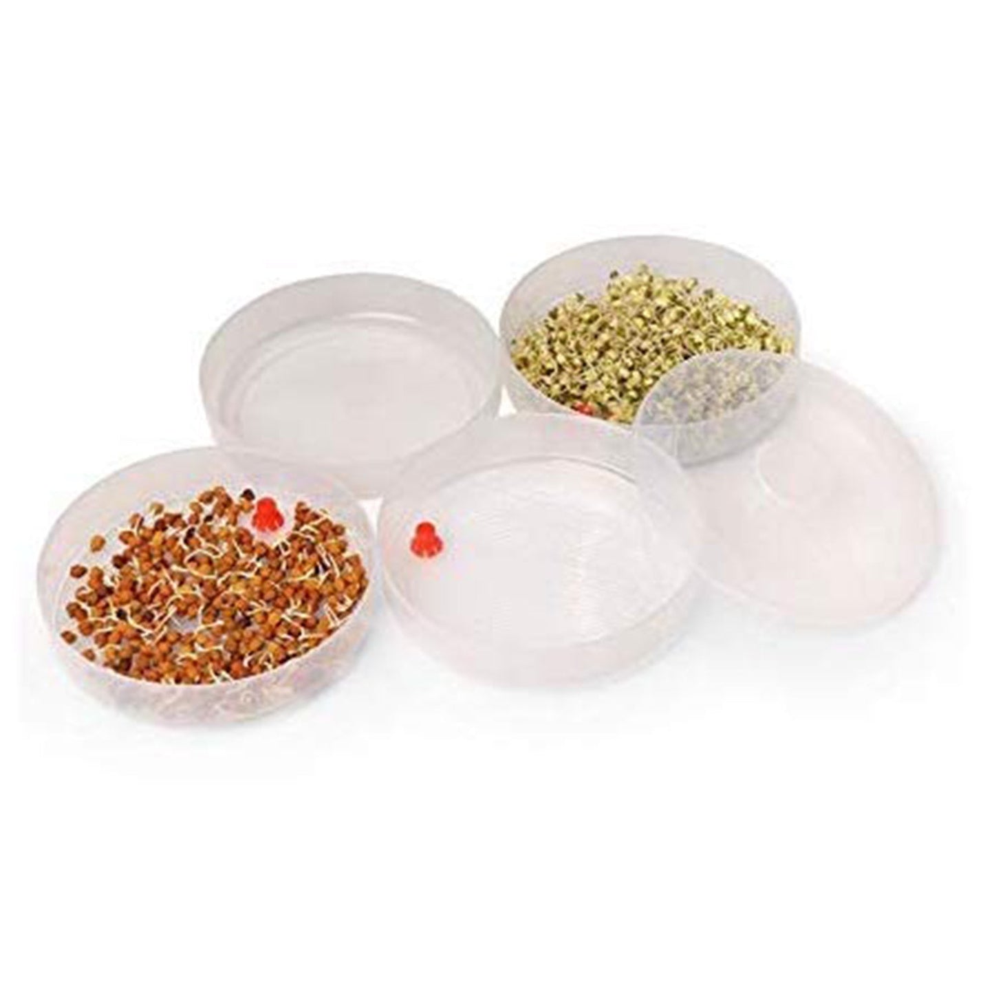 Miracle Plastic Healthy Hygienic Sprout Maker with 3 Compartments for Home, Kitchen (1 Pc) - Springkart 