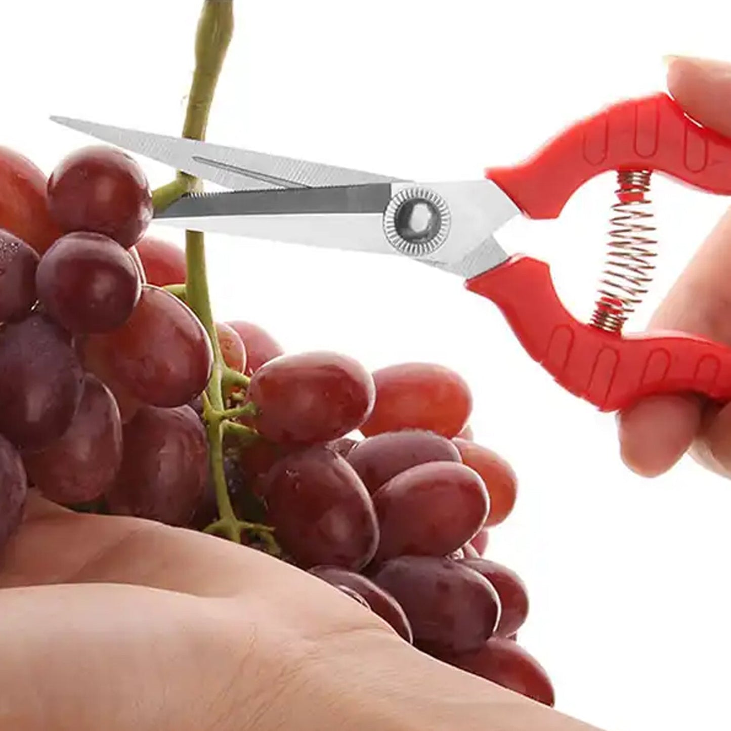 Heavy Duty Stainless Steel Cutter, Non‑slip Trimming Scissors Durable Not Easy To Wear for Gardening Pruning Of Fruit Trees Flowers and Plants (With Plastic Packing) - Springkart 