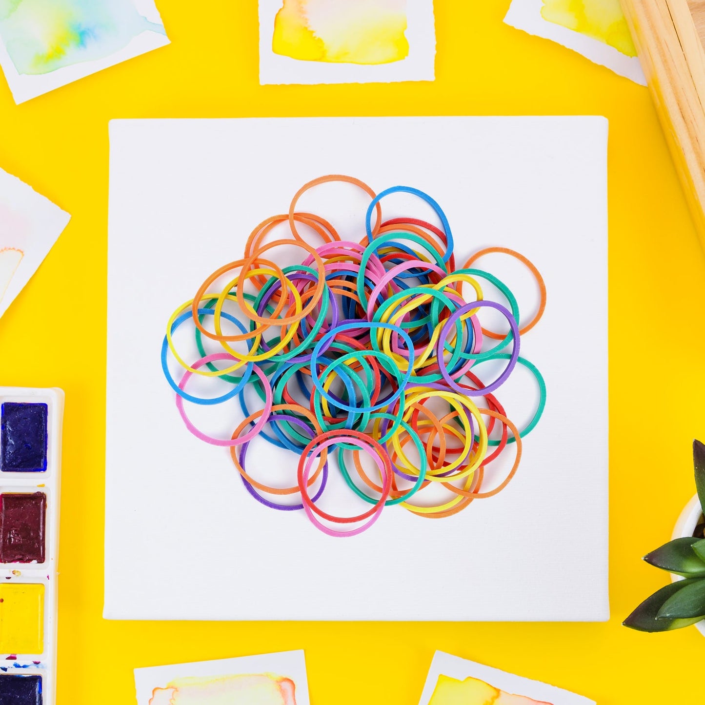 Strong & Reusable Rubber Bands: Multicolor for Office, Home & School - Springkart 